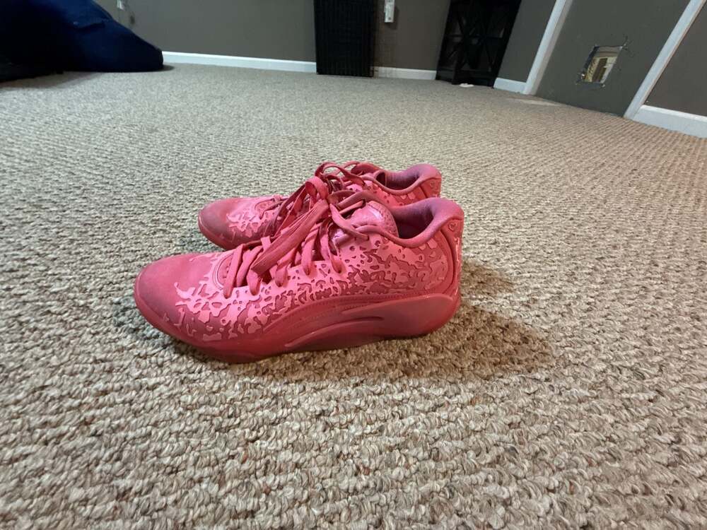Air Jordan Zion 3 'Pink Lotus' Basketball Shoes (DR0675-600)